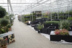 GehoelzSchau DSC05082