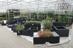 GehoelzSchau DSC05083