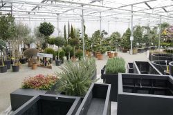 GehoelzSchau DSC05084