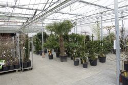 GehoelzSchau DSC05093