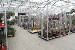 GehoelzSchau DSC05094