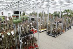 GehoelzSchau DSC05096